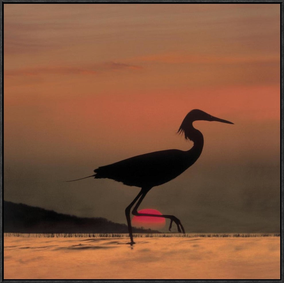 "Little Egret silhouetted at sunset, Africa"  by Tim Fitzharris, 31x31"