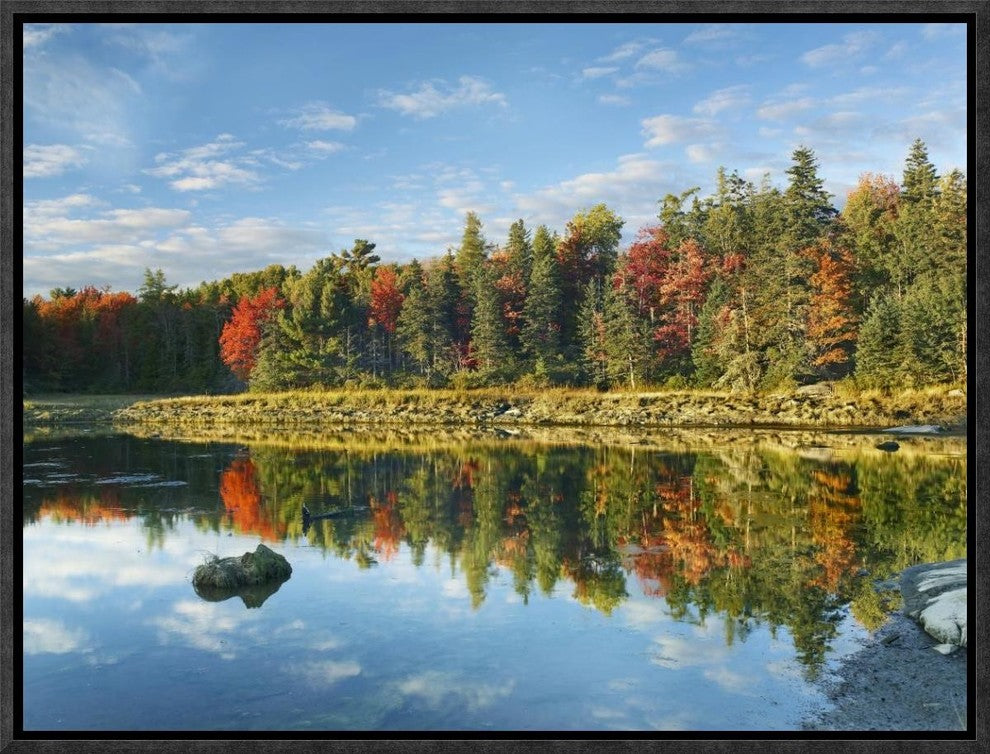 "Coastline, Mount Desert Island, Maine"  by Tim Fitzharris, 17x13"