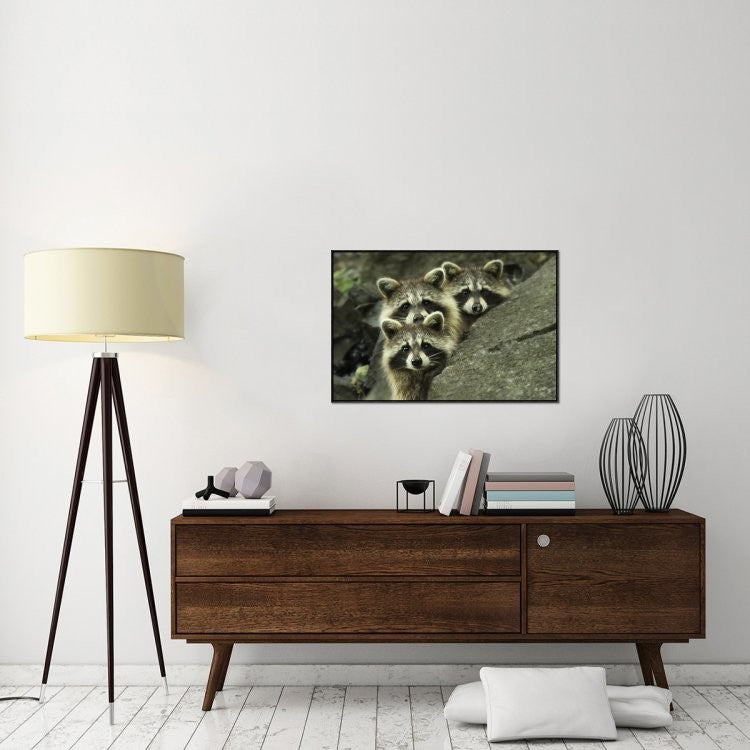 "Tres Banditos" Framed Canvas Giclee by Mircea Costina, 37x25"