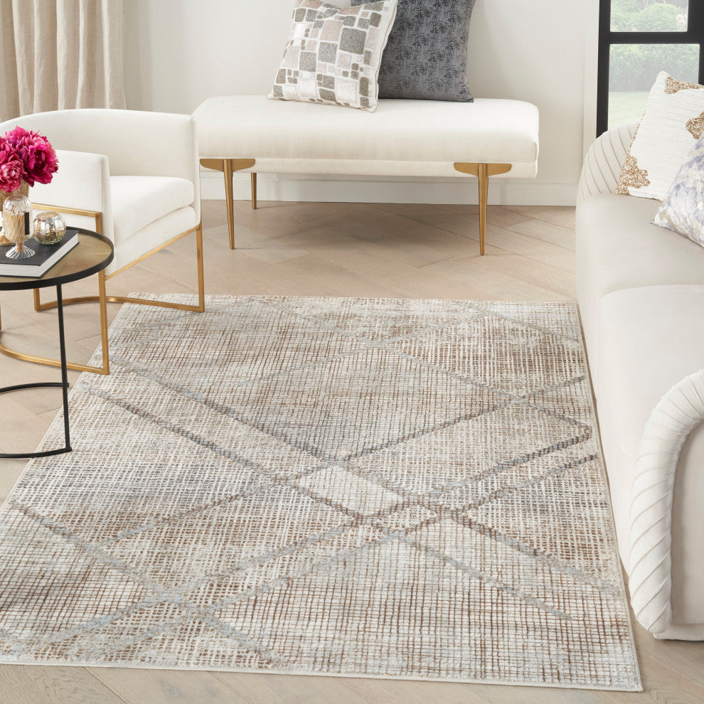 Nourison  Iliana 3'11"x5'11" Gray Modern Indoor Area Rug