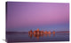 "Silence" Stretched Canvas Giclee by Jaroslav Zakravsky, 30"x20"