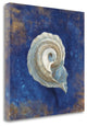 "Treasures Of The Sea Indigo III" By Danhui Nai, Giclee on Gallery Wrap Canvas