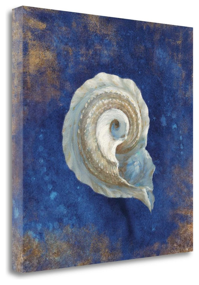 "Treasures Of The Sea Indigo III" By Danhui Nai, Giclee on Gallery Wrap Canvas