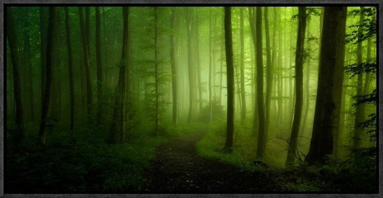 "Spring Promise" Framed Canvas Giclee by Norbert Maier, 23x12"