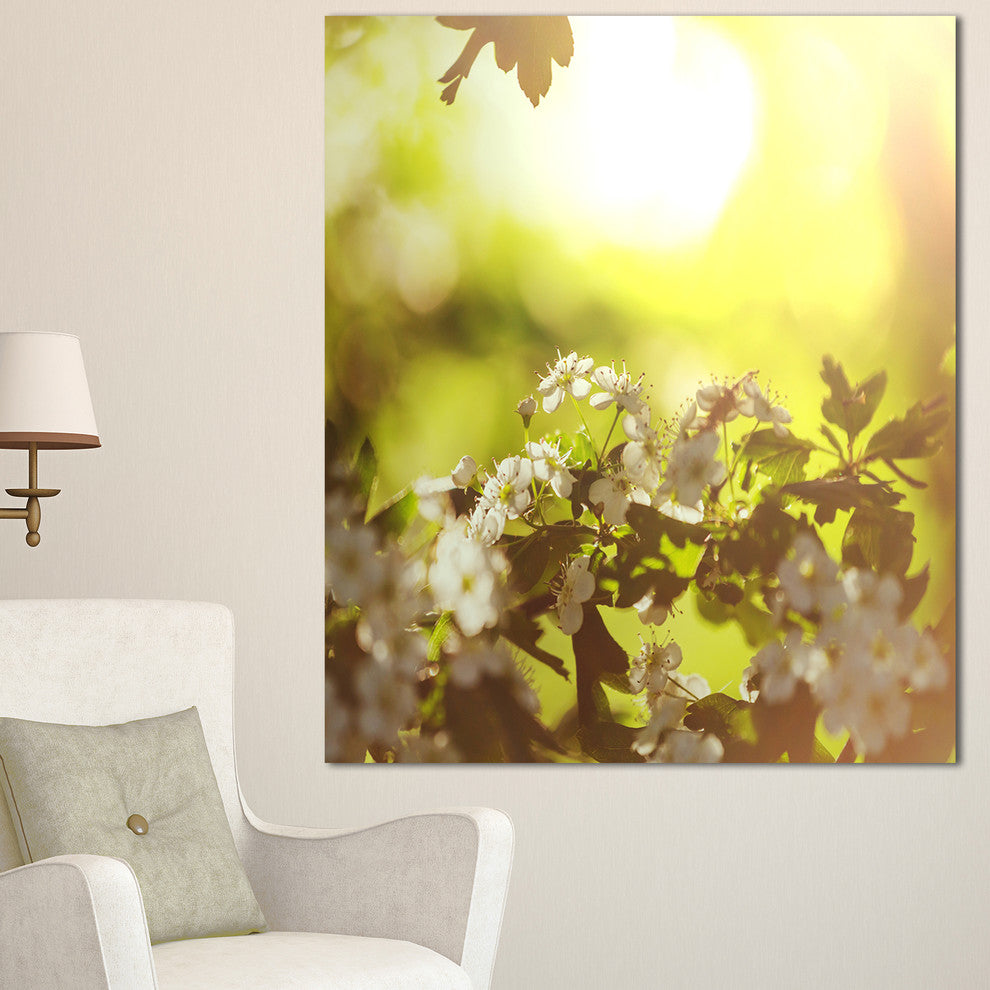 Blossom Cherry on Green Background, Floral Canvas Art Print, 30"x40"