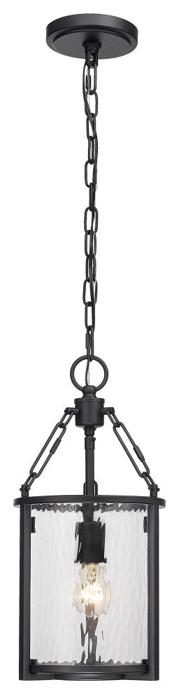 Zlite 346P8-MB 1-Light Pendant, Clear Waterglass