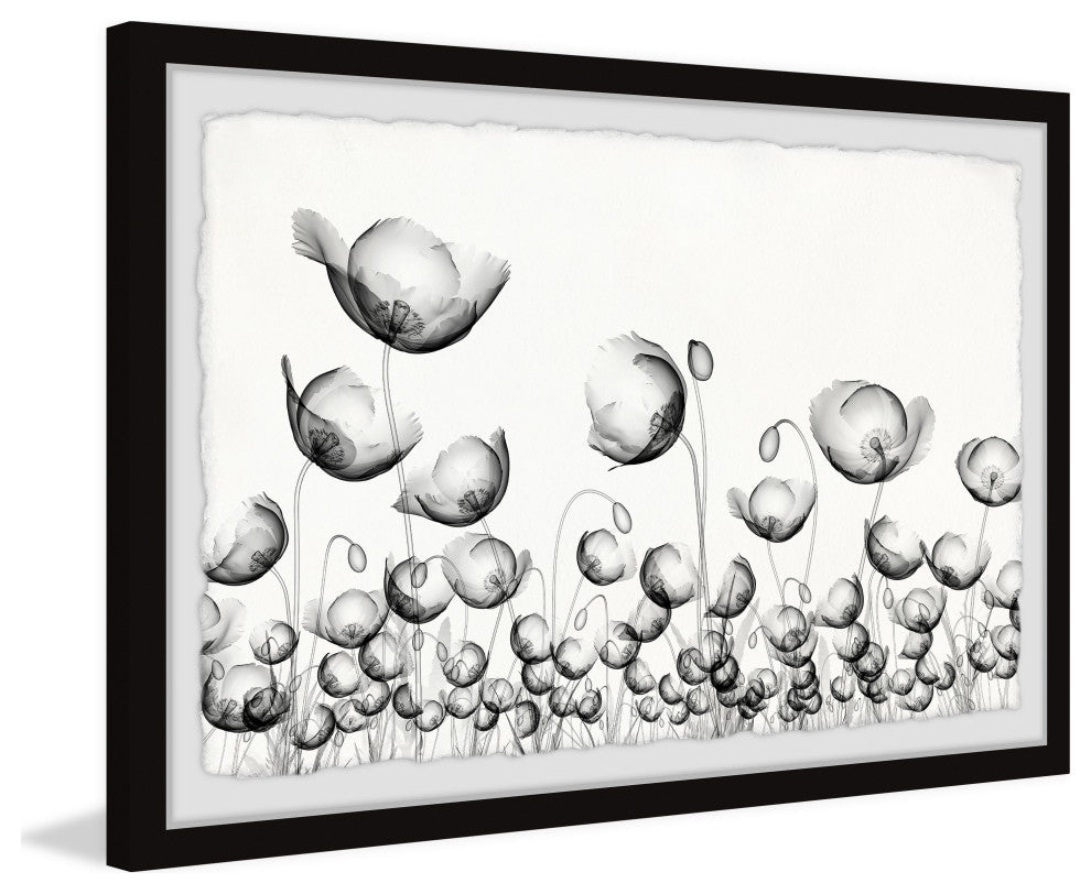 "Poppy Fields" Framed Painting Print, 12x8
