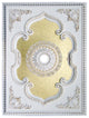 Artistry Lighting, Rectangle 63" x 47" White Ceiling Medallion (ART1216-F1-075)