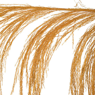 Vickerman 60-72" Uva Palm Spray, Aspen Gold