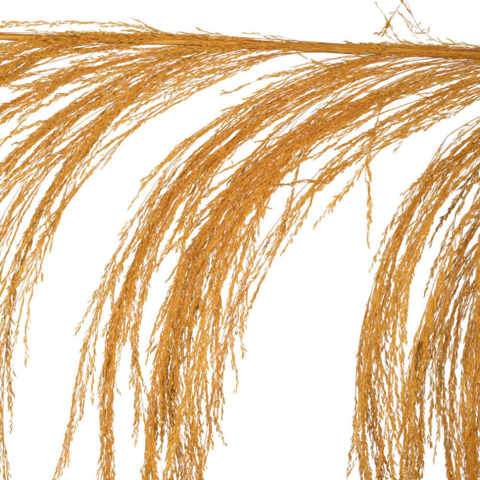 Vickerman 60-72" Uva Palm Spray, Aspen Gold