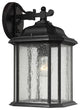 Generation Lighting Lighting 1-Light Outdoor Lantern, Oxford Bronze