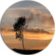 Lonely Tree Silhouette Leftwards, Landscape Disc Metal Wall Art, 23"