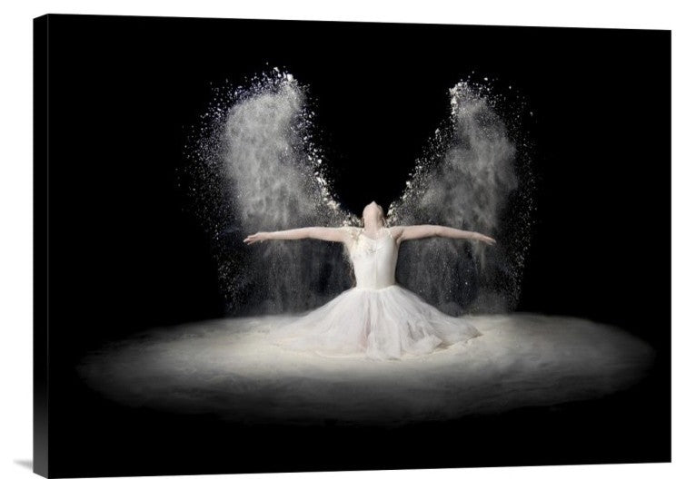 "Flour Wings" Stretched Canvas Giclee by Pauline Pentony Ba, 24"x18"