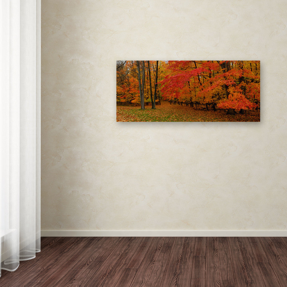 'Ohio Autumn' Canvas Art by Kurt Shaffer