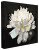Flower Bloom White Green Painting, 17"x17", Canvas Art