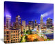 "Charlotte North Carolina" Canvas Print20"x12"