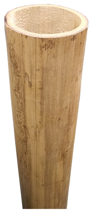 Moso Bamboo Pole, 3.5"-4" Diameter, 6' Long