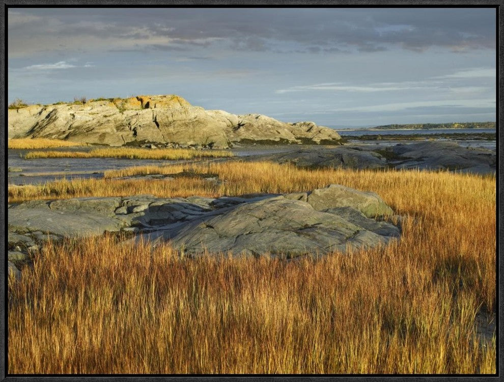 "Tidal marsh, Riviere-Trois-Pistoles, Quebec, Canada"  by Tim Fitzharris, 25x19"