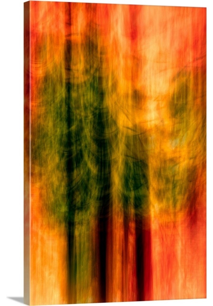 "Cedars At Night" Wrapped Canvas Art Print, 32"x48"x1.5"