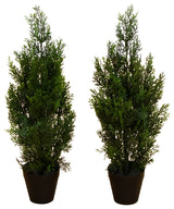 2ft. Artificial Cedar Pine Tree UV Resistant, Indoor/Outdoor Set of 2