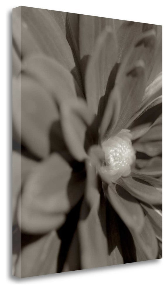 "Florison - 6" By Alan Blaustein, Giclee Print on Gallery Wrap Canvas
