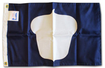 Treasurer, 24"x36" Nylon Flag