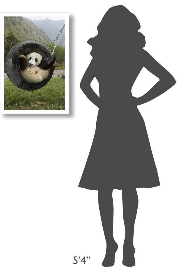 "Giant Panda cub playing in swing, Wolong Nature Reserve" Paper Art, 18"x26"