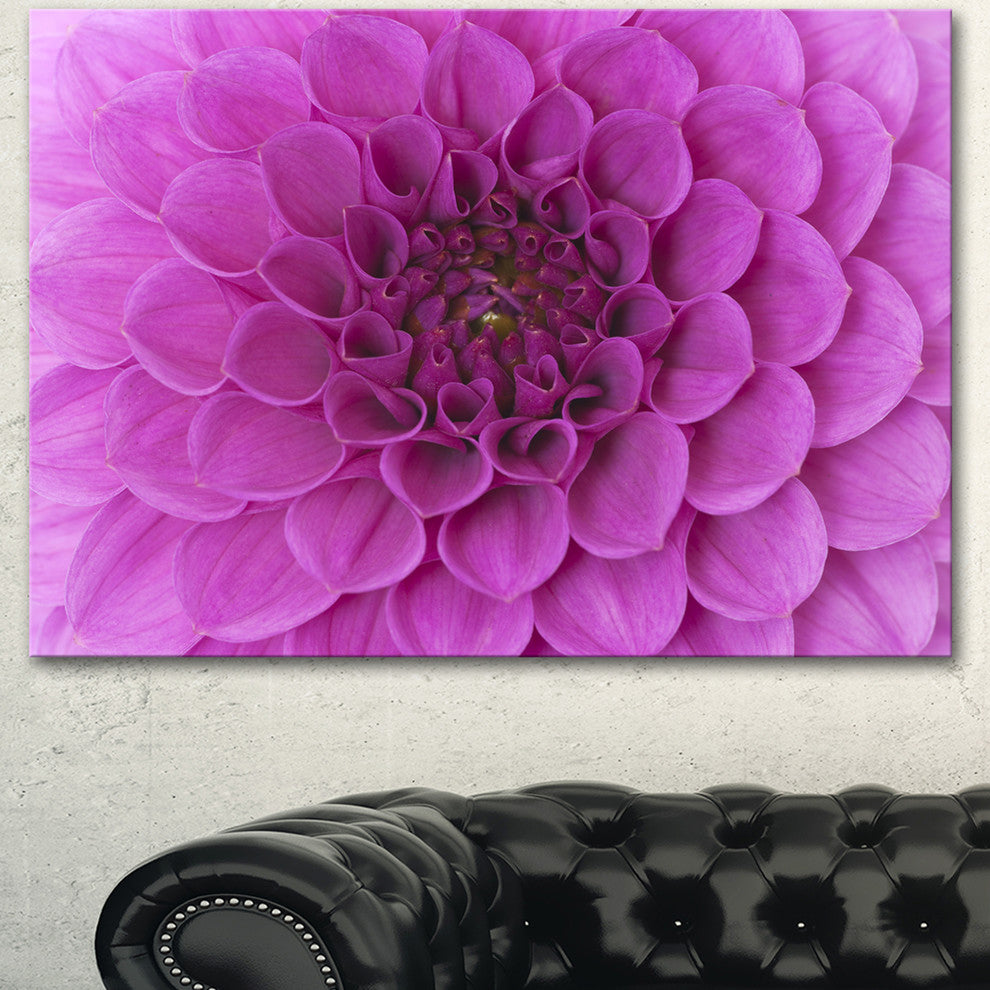 Large Purple Flower and Petals, Floral Canvas Art Print, 40"x30"