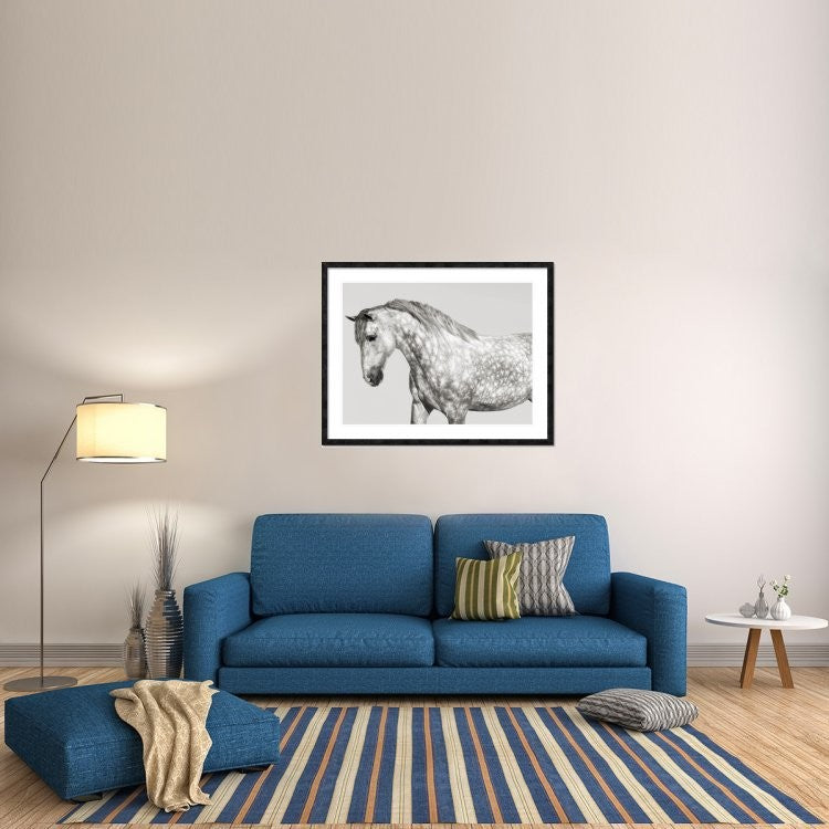 "Leia, Andalusian Pony" Framed Digital Print by Pangea Images, 48x38"