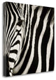 "Camouflage I" By Susann Parker, Giclee Print on Gallery Wrap Canvas