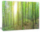 Thick Green Forest Panorama, Landscape Canvas Art Print, 20"x12"