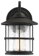 1-Light Exterior Wall Sconce, Black
