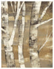 "Wandering Through the Birches II" Paper Print by Albena Hristova, 24"x30"