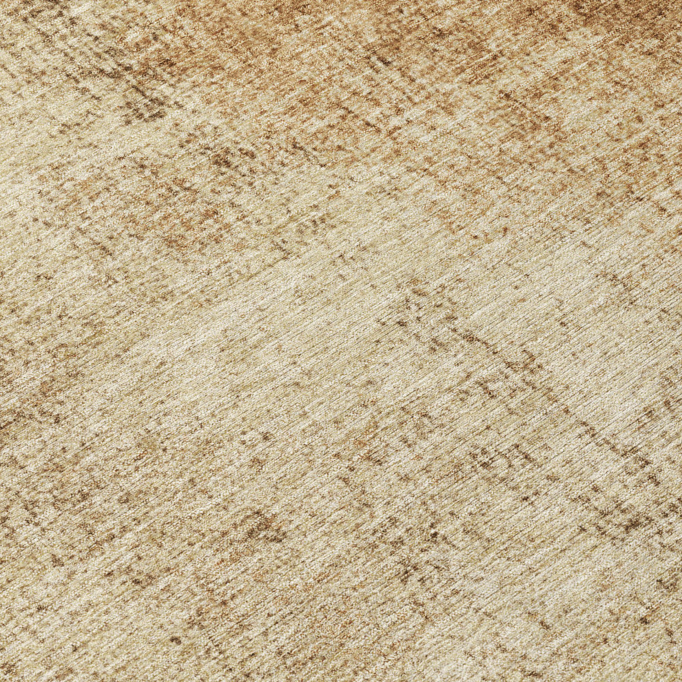 Machine Washable Indoor/Outdoor Chantille ACN1903 Beige 3' x 5' Rug