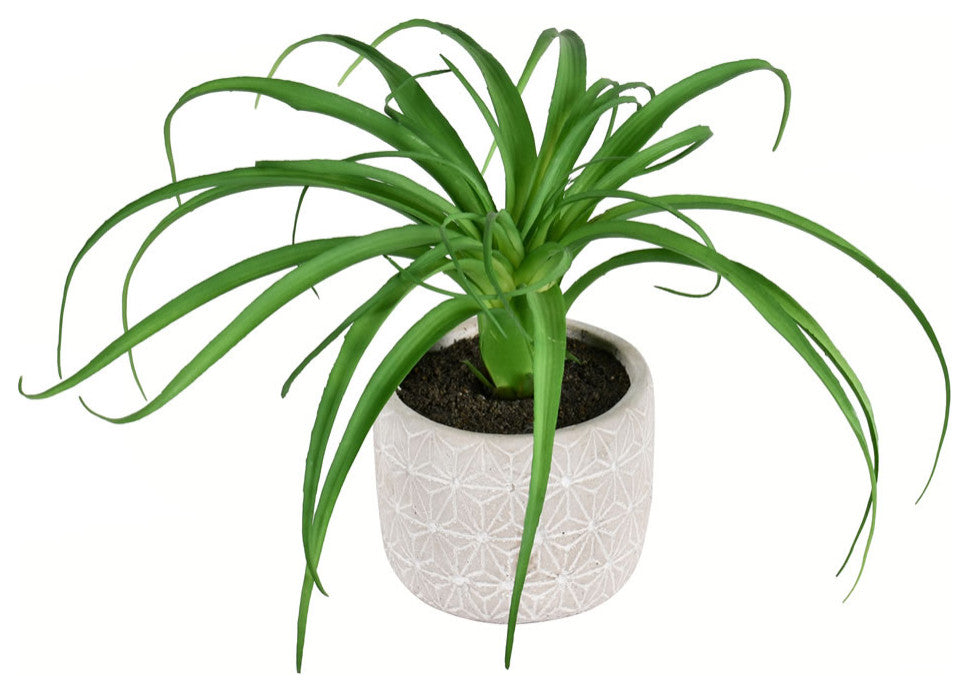8" Artificial Green Succulent, Container, Pack of 2 , 8"