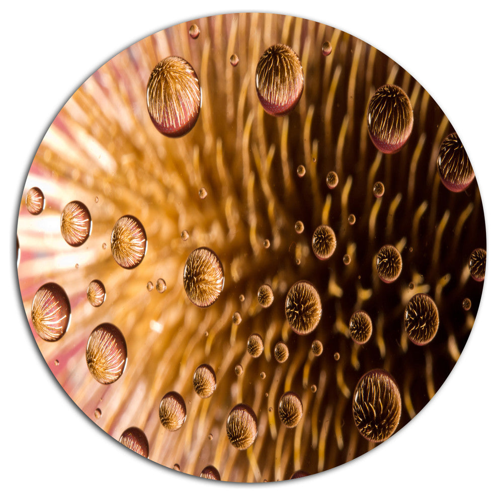 Colorful Brown Flower In Raindrops, Floral Round Wall Art, 38"
