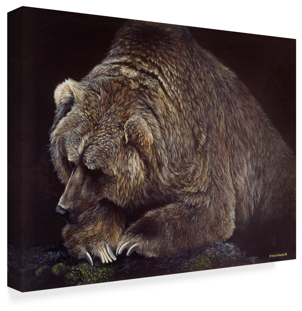 Harro Maass 'Bear In Dark' Canvas Art, 32"x24"