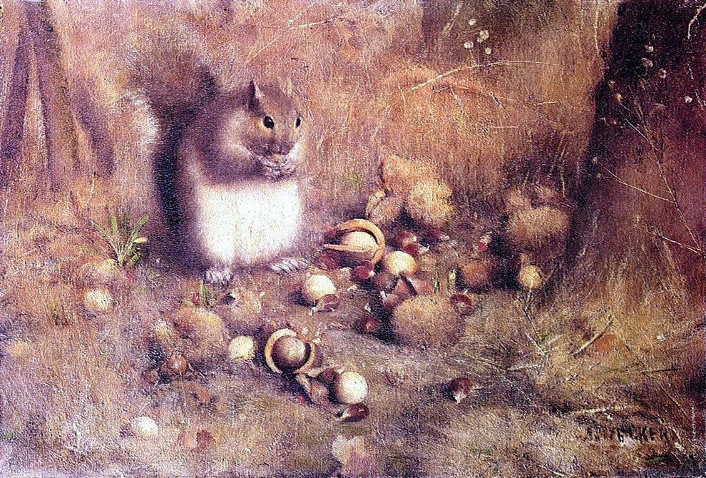 Joseph Decker A Squirrel with Nuts - 18" x 27" Premium Canvas Print