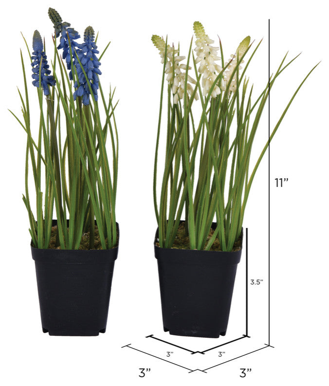 Vickerman 11" Purple and Cream Hyacinth, Set of 3
