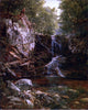 David Johnson Indian Falls, 20"x25" Wall Decal Print