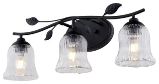 Fairwood 21" 3-Light Rustic Black Bathroom Vanity Fixture, Clear Glass Shade
