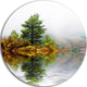 Pine Tree With Reflection, Landscape Photo Round Wall Art, 23"