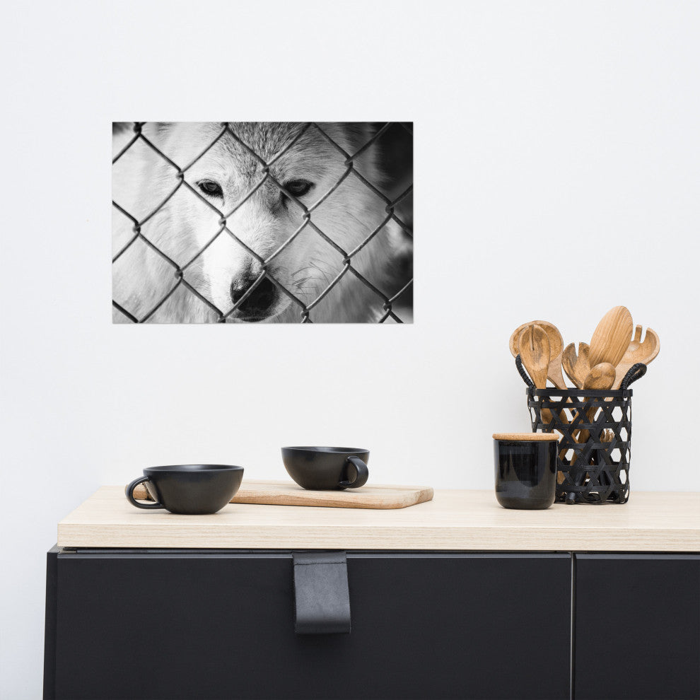 Dreams of Freedom Black & White Wildlife Photo (Wolf) Unframed Wall Art Print, 12" X 18"