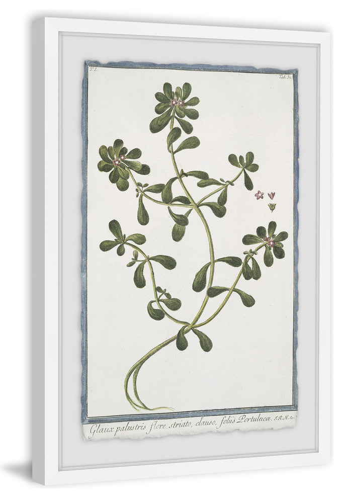 "Growing in the Alpes" Framed Painting Print, 16"x24"