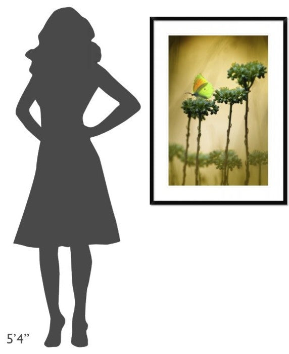 "Cleopatra" Framed Digital Print by Jimmy Hoffman, 28"x38"