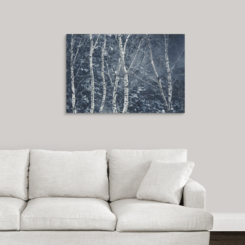 "Winter Birches" Wrapped Canvas Art Print, 36"x24"x1.5"