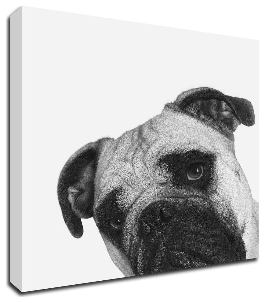 "Que Pasa?" by Jon Bertelli, Print on Canvas, 18"x18"