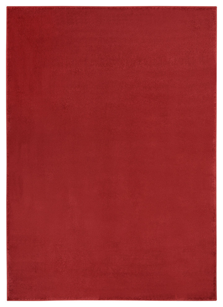 Nourison Essentials 4' x 6' Brick Red Outdoor Area Rug