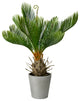 Serene Spaces Living Faux Cycad Tree in Gray Cement Pot, 17" Tall