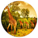 South African Giraffes, African Round Wall Art, 36"